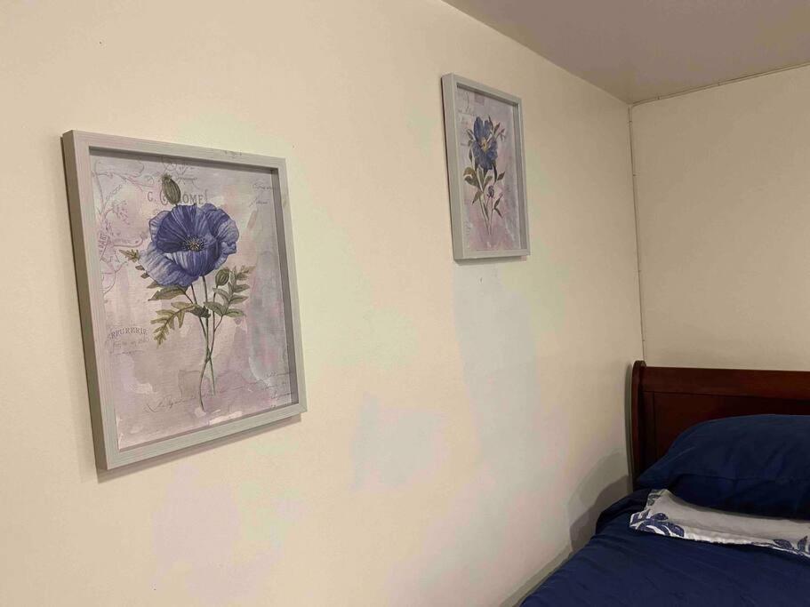 Apartament Treasure In Queens Nowy Jork Zewnętrze zdjęcie